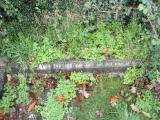 image of grave number 429105